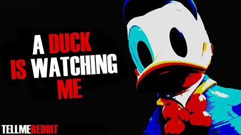 SCARY STORIES: A DUCK IS WATCHING ME | TELLMEREDDIT