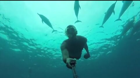 Could these be the Worlds happiest dolphins?