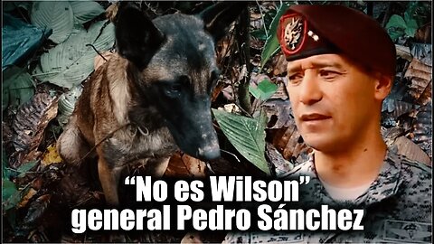 🛑“No es Wilson” general Pedro Sánchez descartó que sea el perro encontrado en selva de Caquetá👇👇