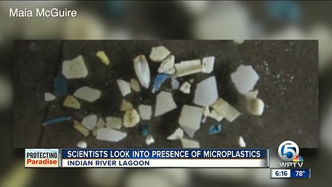 Are microplastics a secret threat in South Florida waters?