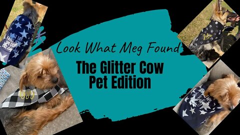 The Glitter Cow Pet Edition