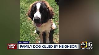 Gilbert family raising questions after puppy is shot and killed