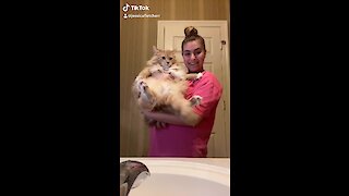 Irritated Cat Puts Owner In Check