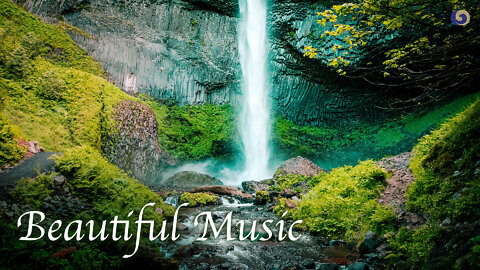 Beautiful, Relaxing, and Healing Music | Xiao and Bamboo Flute | Musical Moments