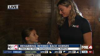Track to Trail Thoroughbreds rescues and rehabilitates race horses