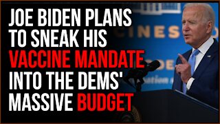 Joe Biden Plans To Sneak His Vaccine Mandate For Companies Into Dems Giant Budget