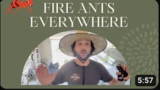 Not A How To (2) - Get rid of ants in your lawn