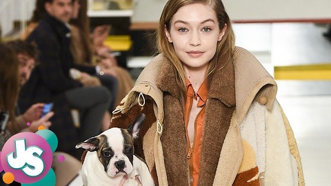 Fans PISSED at Gigi Hadid & Models Using Dogs as Runway Accessories During Fashion Show -JS