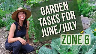 Vegetable Garden Tasks for Early/Mid Summer: Zone 6