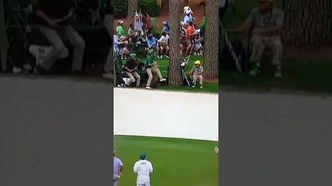 Falling Tree Almost Hits Spectators at The Masters