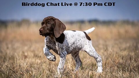 Spring Update - Birddog Chat With Ethan And Kat