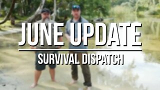 Survival Dispatch - June Update