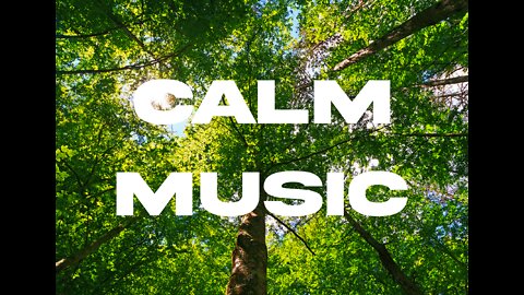 Calm Music - Music for Reading, Sleeping, Focus
