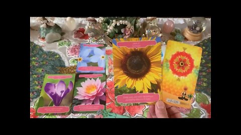 Libra ♎️ “Kindred Spirits! Sharing Wisdom & Healing! April Tarot, Aura, Love & Flower Reading. 🌻