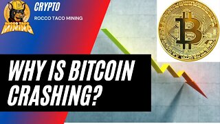 Why is Bitcoin Crashing? Is Bitcoin controlled by the FED?