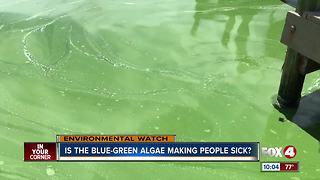 Is the blue-green algae making people sick?