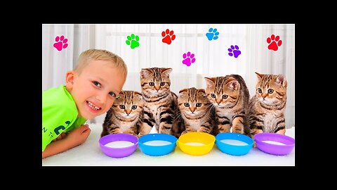 VidIQ Rebeka and Funny Cat eats Breakfast and Plays