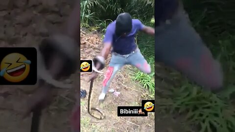 Funny video Snake 🐍 vs killer buboo |#shorts