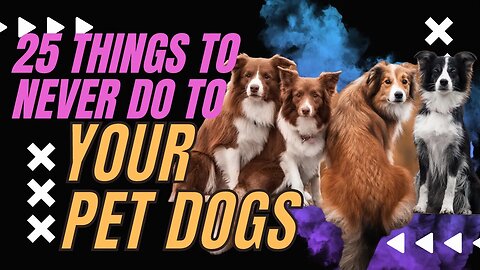 2023 25 THINGS YOU MUST NEVER DO TO YOUR PET DOGS