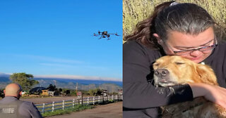 Colorado Sheriff’s Office Finds Dog Lost for Months with Drone