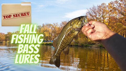 Fall Fishing Tactics For Catching Bass