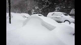 Snestorm begraver biler i Newfoundland, Canada