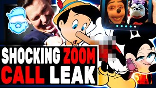 Disney Just Had A SHOCKING Zoom Call Leak Everyone MUST See!