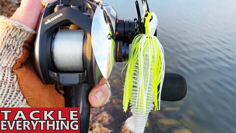 Attack of the KILLER SWANS!!! + First Impressions - 10,000 Fish Cyclebait