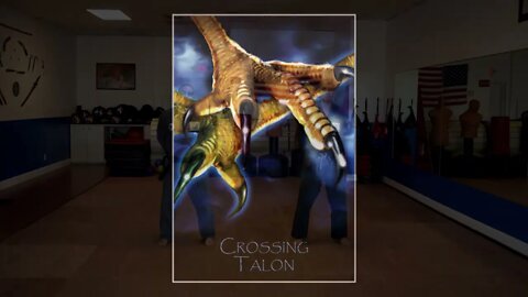 Correcting common errors executing the American Kenpo technique Crossing Talon