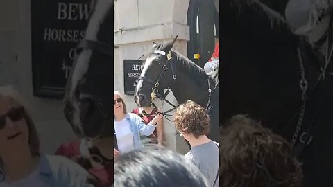 Tourist holds the reins nothing said from the guard #horseguardsparade