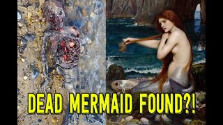 Man Finds 'DEAD MERMAID' on Deserted Beach