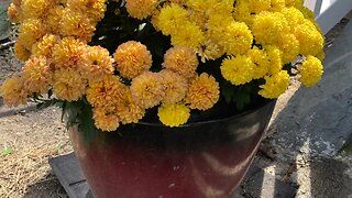 Autumn Floral Planter