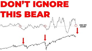 STOCK MARKET BOUNCE IS PRODUCING OPTIMISM ... Let's not Ignore The Bear In The Corner.