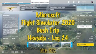 MSFS2020 - Bush Trip - Nevada - Leg 24