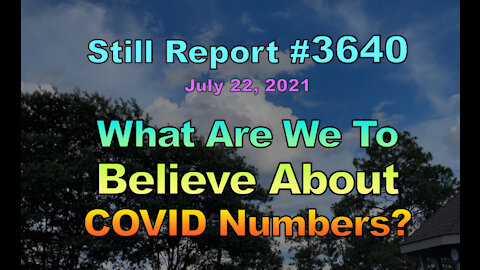 What Are We to Believe About COVID Numbers?, 3640