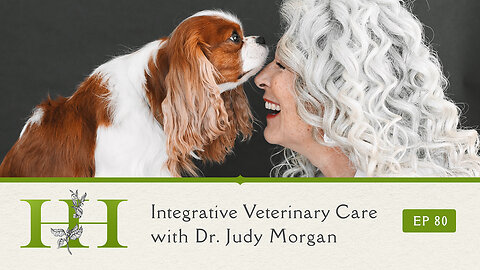 Integrative Veterinary Care with Dr. Judy Morgan - The Healing Home - Ep. 80