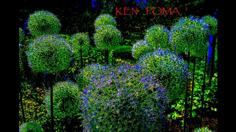 Tools Of The Trade - Ken Poma