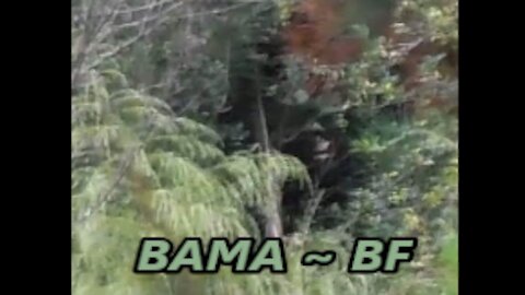 World Bigfoot Radio 116 PT 1 ~ Dogman and Sasquatch in Alabama/BAMA~BF