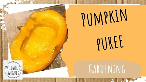 How to Make Pumpkin Purée