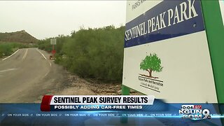 Sentinel Peak survey results