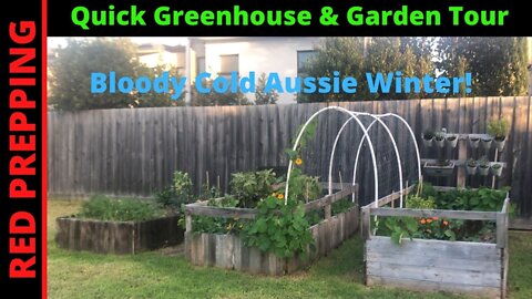 Quick Greenhouse & Garden Tour