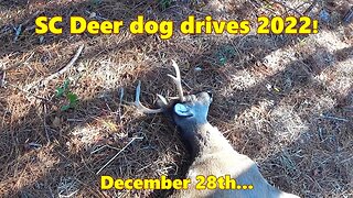 SC Deer Dog Drives 2022! 12-28 Best Races of the Season!!