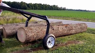 Homemade Log Arch