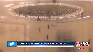 Understanding spread of West Nile Virus