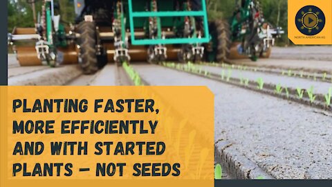 Planting faster, more efficiently and with started plants – not seeds