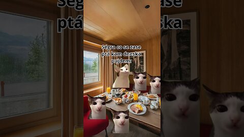 Rodiná dovolená be like part 40 | cat memes