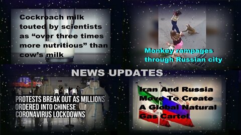 Scientist Tout Coakroach Milk Nutritious, Monkey Rampage Russia City & Other News