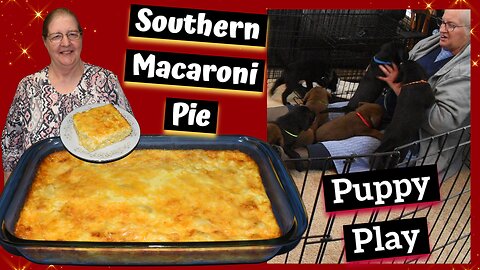 Delicious Southern Macaroni Pie Recipe: Perfect Side Dish! Labrador Puppies, Inspirational Thought