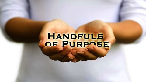 Handfuls of Purpose | Steven Anderson Preaching