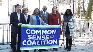 New York City Council Candidates Form 'Common Sense Coalition'